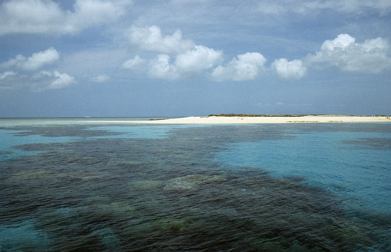 653_Michaelmas Kay, Groot Barriere rif.jpg